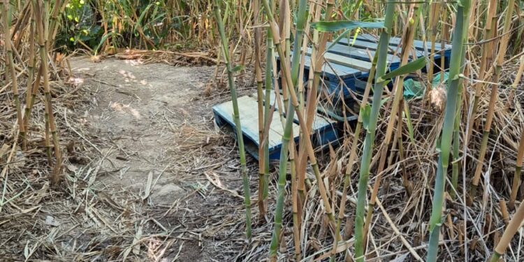Un segundo incendio en 30 días reaviva la alarma vecinal por el abandono del PAI de Benimaclet 1 Un segundo incendio en 30 días reaviva la alarma vecinal por el abandono del PAI de Benimaclet