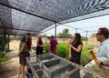 La Generalitat producirá 100.000 plantas autóctonas para restaurar 160 kilómetros de barrancos afectados por la dana 11 260819 NP VICE3 plantas cief cauces 1