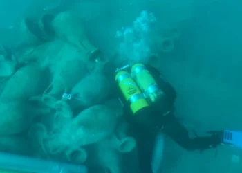 Arqueólogos submarinos por un día: así descubren los niños los tesoros ocultos bajo el mar en la Vila Joiosa 14 467f7120 9185 4551 9c26 26fc351008a9 16 9 aspect ratio 1600w 0