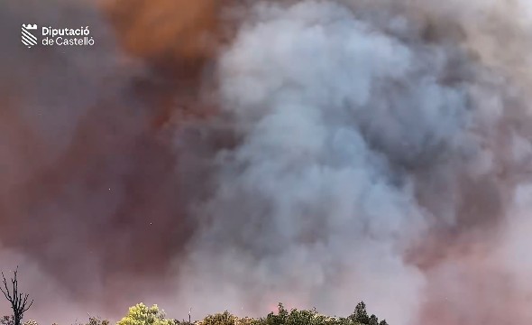 El fuego amenaza la Serra Calderona y obliga a evacuar a un millar de personas 2 Captura de pantalla 2026 08 21 222353