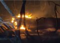 El incendio de El Saler frena su avance durante la noche