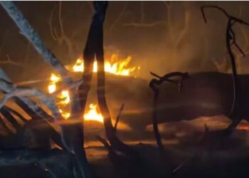 El incendio de El Saler frena su avance durante la noche