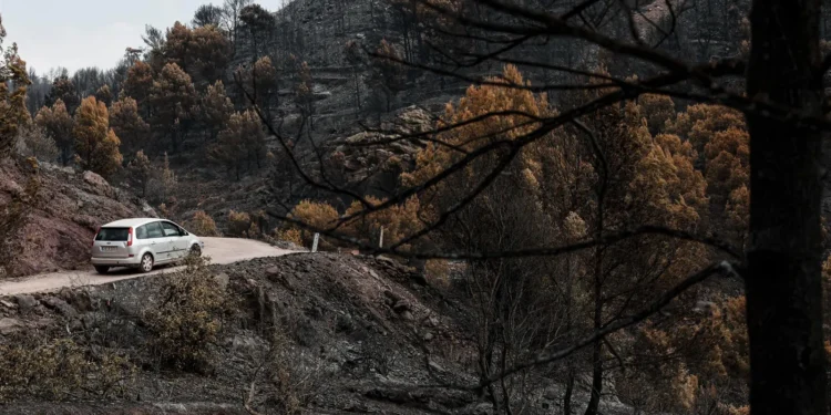 Emergencias prevé controlar el incendio de la Vall d'Uixó entre este lunes y el martes 1 Emergencias preve controlar el incendio de la Vall dUixo entre este lunes y el martes 1