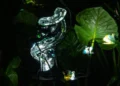 Las mejores exposiciones que puedes visitar en Valencia durante agosto de 2026 11 Exposicion Tania Candiani. Radix en Valencia 4