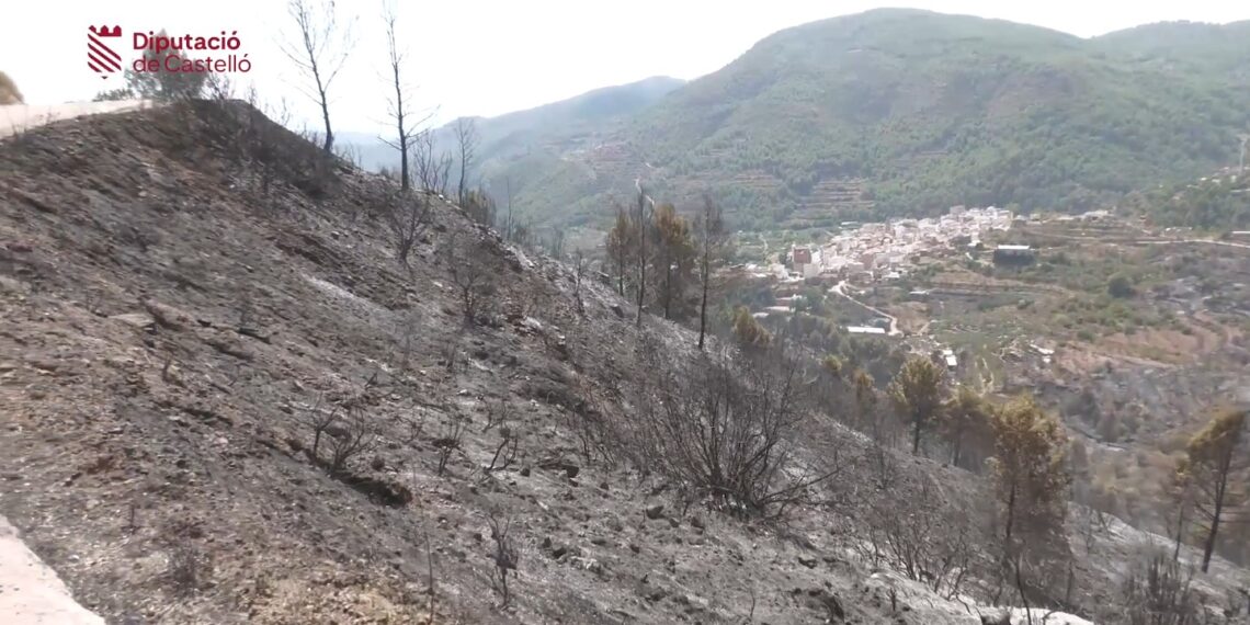 El incendio de la Serra Calderona sigue activo pese a estar estabilizado: las reproducciones nocturnas mantienen a Gátova confinada