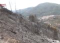 El incendio de la Serra Calderona sigue activo pese a estar estabilizado: las reproducciones nocturnas mantienen a Gátova confinada 11 El incendio de la Serra Calderona sigue activo pese a estar estabilizado: las reproducciones nocturnas mantienen a Gátova confinada