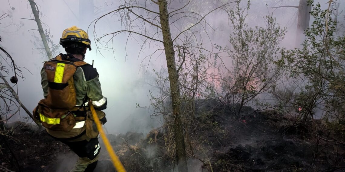 Los bomberos afianzan el perímetro del incendio de La Vall d'Uxó y piden evitar la zona ante la presencia de curiosos e «influencers» 1 Los bomberos afianzan el perímetro del incendio de La Vall d'Uxó y piden evitar la zona ante la presencia de curiosos e «influencers»