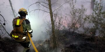 Estabilizado un incendio de vegetación registrado en la carretera CV-81 a la altura de Beneixama