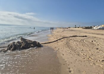 Denuncian la aparición de restos de maroma portuaria en la Playa de la Garrofera