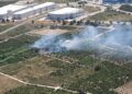 Un incendio forestal en Palmera moviliza a un amplio dispositivo de emergencia antes de ser controlado en una hora