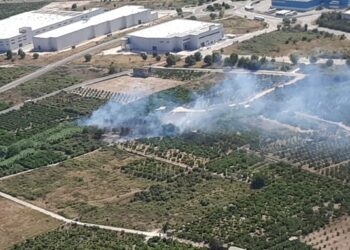 Un incendio forestal en Palmera moviliza a un amplio dispositivo de emergencia antes de ser controlado en una hora
