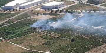 Un incendio forestal en Palmera moviliza a un amplio dispositivo de emergencia antes de ser controlado en una hora