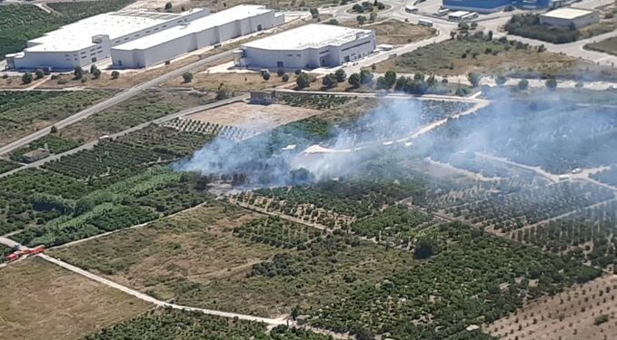 Un incendio forestal en Palmera moviliza a un amplio dispositivo de emergencia antes de ser controlado en una hora