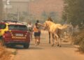 Evacúan el municipio de Catí por la amenaza del incendio de Tírig mientras avanza el control de otros focos en Castellón