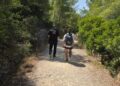 La Policía Local de Dénia rescata con éxito a dos senderistas desorientados en el Mongó gracias al uso de drones
