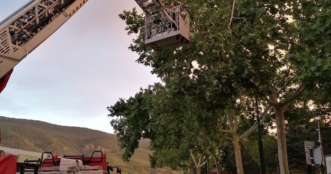 Alcoy la comarca recupera la normalidad tras el intenso temporal de viento y lluvia de ayer tarde 1 Alcoy la comarca recupera la normalidad tras el intenso temporal de viento y lluvia de ayer tarde