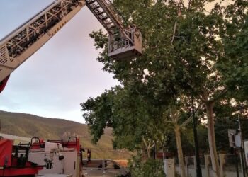 Alcoy la comarca recupera la normalidad tras el intenso temporal de viento y lluvia de ayer tarde 20 Alcoy la comarca recupera la normalidad tras el intenso temporal de viento y lluvia de ayer tarde