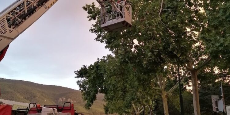 Alcoy la comarca recupera la normalidad tras el intenso temporal de viento y lluvia de ayer tarde 1 Alcoy la comarca recupera la normalidad tras el intenso temporal de viento y lluvia de ayer tarde