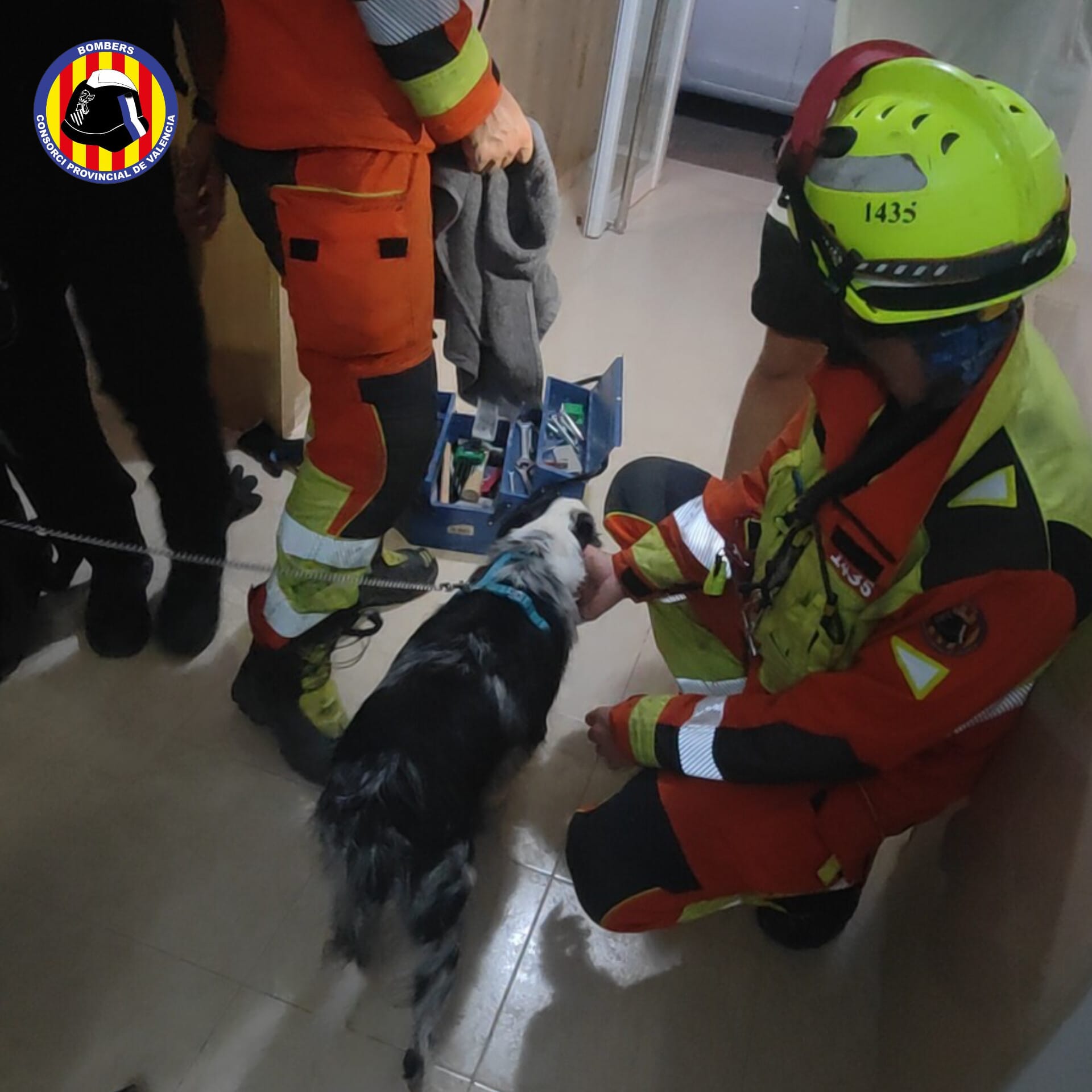 Los Bomberos de Valencia rescatan con éxito a un perro tras quedar atrapado en la puerta de un ascensor 3 HPboQ3RWYAAAW7N