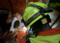 Los Bomberos de Valencia rescatan con éxito a un perro tras quedar atrapado en la puerta de un ascensor 11 Los Bomberos de Valencia rescatan con éxito a un perro tras quedar atrapado en la puerta de un ascensor