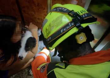 Los Bomberos de Valencia rescatan con éxito a un perro tras quedar atrapado en la puerta de un ascensor 15 Los Bomberos de Valencia rescatan con éxito a un perro tras quedar atrapado en la puerta de un ascensor