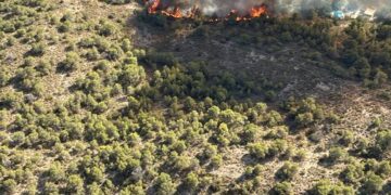 El Centro de Coordinación de Emergencias de la Generalitat Valenciana moviliza operativos del Consorcio Provincial de Bomberos, brigadas forestales y fuerzas de seguridad para controlar el fuego.