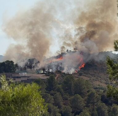Estabilizado el Incendio Forestal de Xàtiva en la fase inicial del fuego 1 Estabilizado el Incendio Forestal de Xàtiva