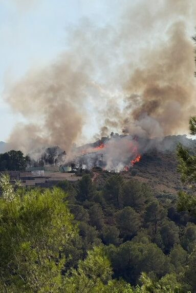 Estabilizado el Incendio Forestal de Xàtiva en la fase inicial del fuego 1 Estabilizado el Incendio Forestal de Xàtiva