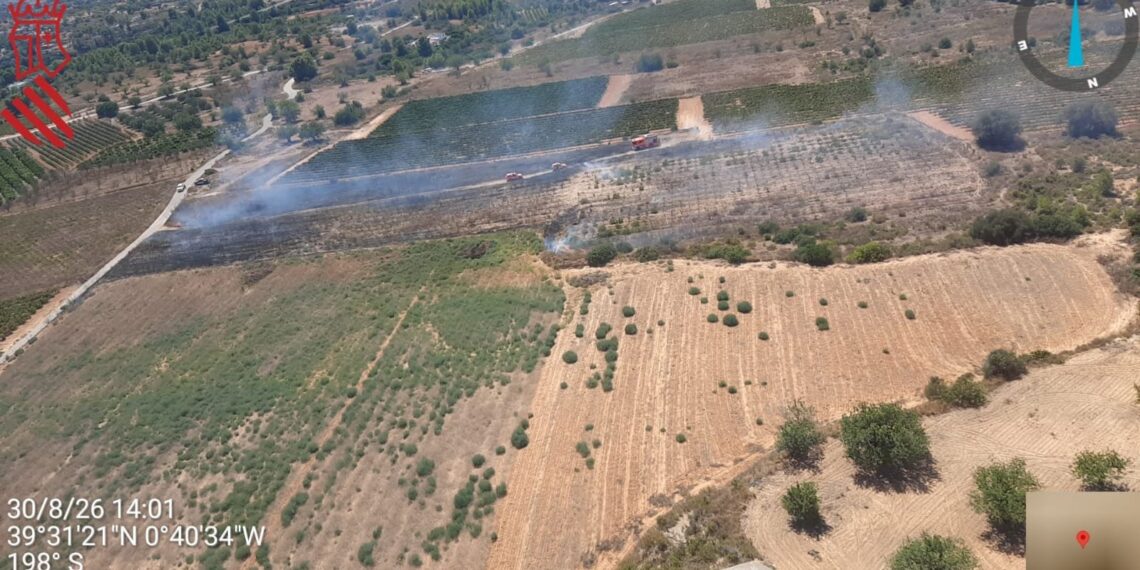 Un conato de incendio forestal en Cheste moviliza a los servicios de emergencia y queda extinguido en poco más de una hora 1 Un conato de incendio forestal en Cheste moviliza a los servicios de emergencia y queda extinguido en poco más de una hora