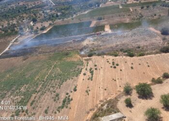 Un conato de incendio forestal en Cheste moviliza a los servicios de emergencia y queda extinguido en poco más de una hora