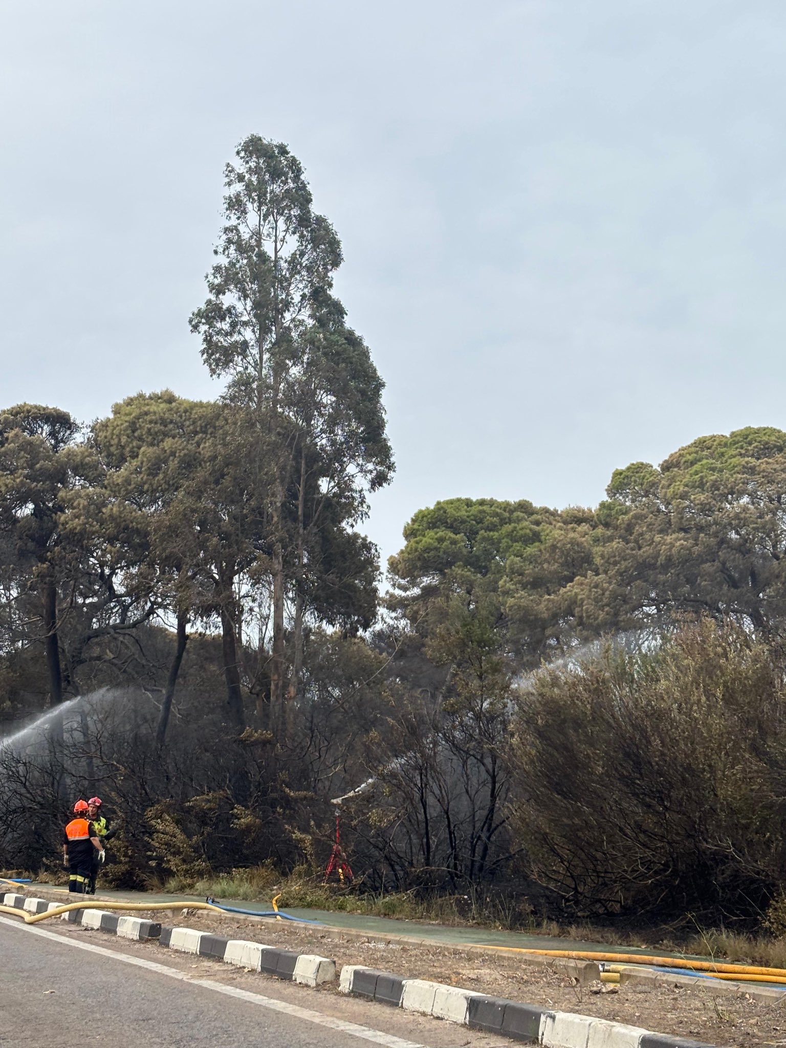 El Saler reabrirá accesos tras dar por controlado el incendio, pero la gestión y los protocolos desatan una tormenta política y técnica 7 HQ4G4WZXwAAA1 S