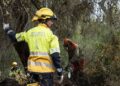 El Saler reabrirá accesos tras dar por controlado el incendio, pero la gestión y los protocolos desatan una tormenta política y técnica 10 El Saler reabrirá accesos tras dar por controlado el incendio, pero la gestión y los protocolos desatan una tormenta política y técnica