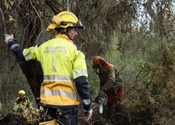 El Saler reabrirá accesos tras dar por controlado el incendio, pero la gestión y los protocolos desatan una tormenta política y técnica 14 El Saler reabrirá accesos tras dar por controlado el incendio, pero la gestión y los protocolos desatan una tormenta política y técnica