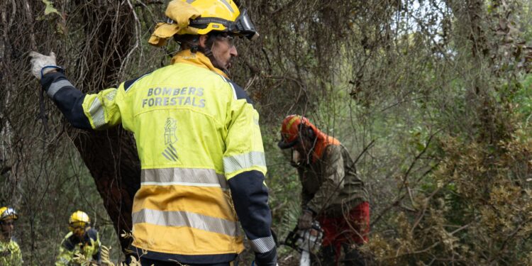 El Saler reabrirá accesos tras dar por controlado el incendio, pero la gestión y los protocolos desatan una tormenta política y técnica 1 El Saler reabrirá accesos tras dar por controlado el incendio, pero la gestión y los protocolos desatan una tormenta política y técnica