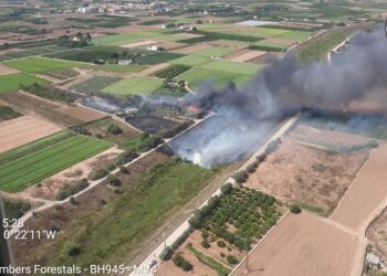 Los bomberos combaten varios focos de vegetación en Valencia mientras extinguen los incendios de Sueca y Fontanars dels Alforins