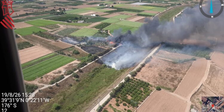 Los bomberos combaten varios focos de vegetación en Valencia mientras extinguen los incendios de Sueca y Fontanars dels Alforins