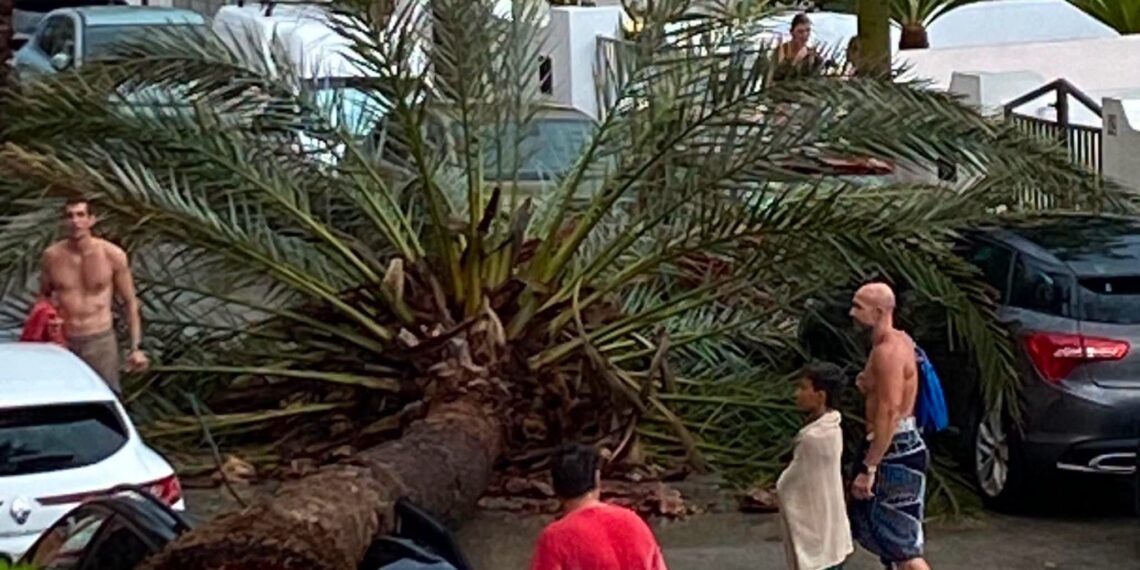 Un reventón húmedo en El Perellonet parte una palmera y aplasta varios vehículos
