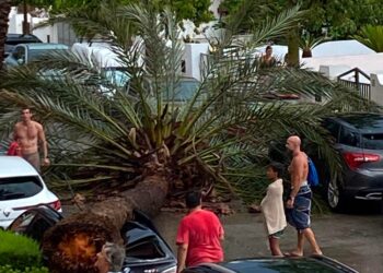 Un reventón húmedo en El Perellonet parte una palmera y aplasta varios vehículos
