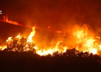 125 hectáreas de Serra Calderona calcinadas en el #IFSegorbe, corte de carretera CV-25