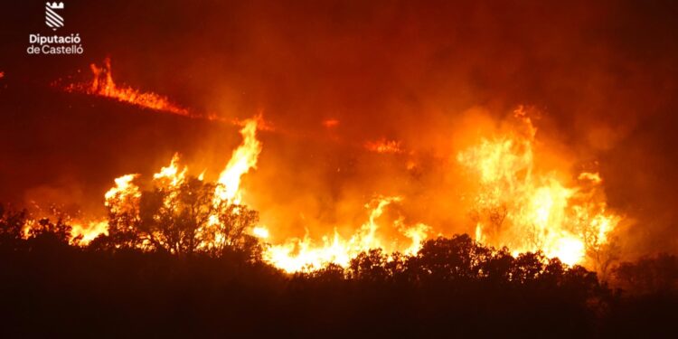 125 hectáreas de Serra Calderona calcinadas en el #IFSegorbe, corte de carretera CV-25
