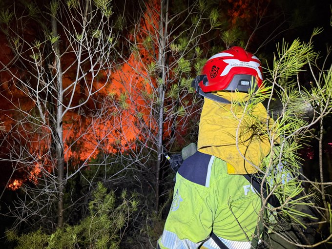 Arde el corazón de la Serra Calderona. Tras el Incendio de la Serra d'Espadà los pulmones verdes de Valencia heridos 5 HQOhFIWWMAA9MHF