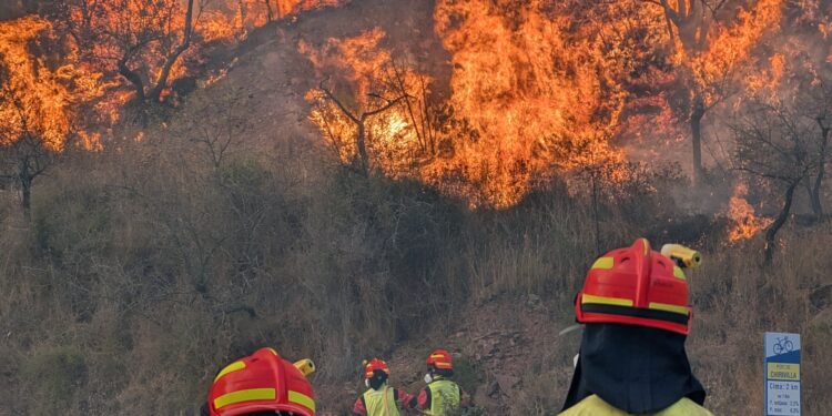 El incendio de Segorbe ha calcinado ya más de 650 hectáreas y encara sus horas de mayor riesgo por la extrema sequía de la vegetación