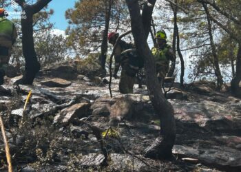 El incendio de Segorbe queda estabilizado tras afectar a 630 hectáreas y se prepara un dispositivo nocturno para evitar rebrotes 14 El incendio de Segorbe queda estabilizado tras afectar a 630 hectáreas y se prepara un dispositivo nocturno para evitar rebrotes