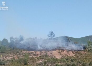 Los bomberos estabilizan el incendio forestal de Pina de Montalgrao tras desplegar un amplio dispositivo terrestre y aéreo 14 Los bomberos estabilizan el incendio forestal de Pina de Montalgrao tras desplegar un amplio dispositivo terrestre y aéreo