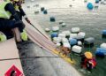 Los Bomberos de Torrevieja rescatan a un zorro atrapado en una balsa de riego en Los Montesinos