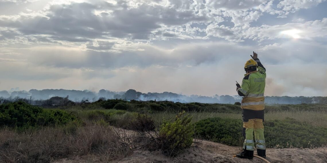 El Ayuntamiento de Valencia activa medidas excepcionales tras la estabilización del incendio de El Saler 1 El Ayuntamiento de Valencia activa medidas excepcionales tras la estabilización del incendio de El Saler
