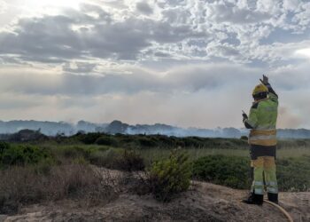 El Ayuntamiento de Valencia activa medidas excepcionales tras la estabilización del incendio de El Saler 15 El Ayuntamiento de Valencia activa medidas excepcionales tras la estabilización del incendio de El Saler