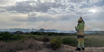 El Ayuntamiento de Valencia activa medidas excepcionales tras la estabilización del incendio de El Saler