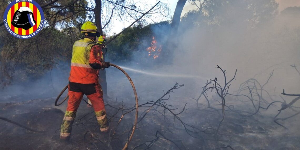 El fuego devora 33 hectáreas en el corazón de la Albufera de Valéncia y esta noche seguirán desalojados los vecinos 1 El fuego devora 33 hectáreas en el corazón de la Albufera de Valéncia y esta noche seguirán desalojados los vecinos