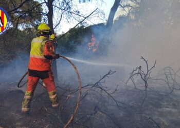 El fuego devora 33 hectáreas en el corazón de la Albufera de Valéncia y esta noche seguirán desalojados los vecinos